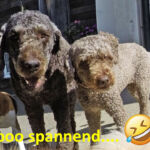 Sooo spannend Sooo spannend