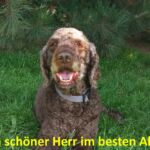 Ein schöner Herr im besten Alter Ein schöner Herr im besten Alter